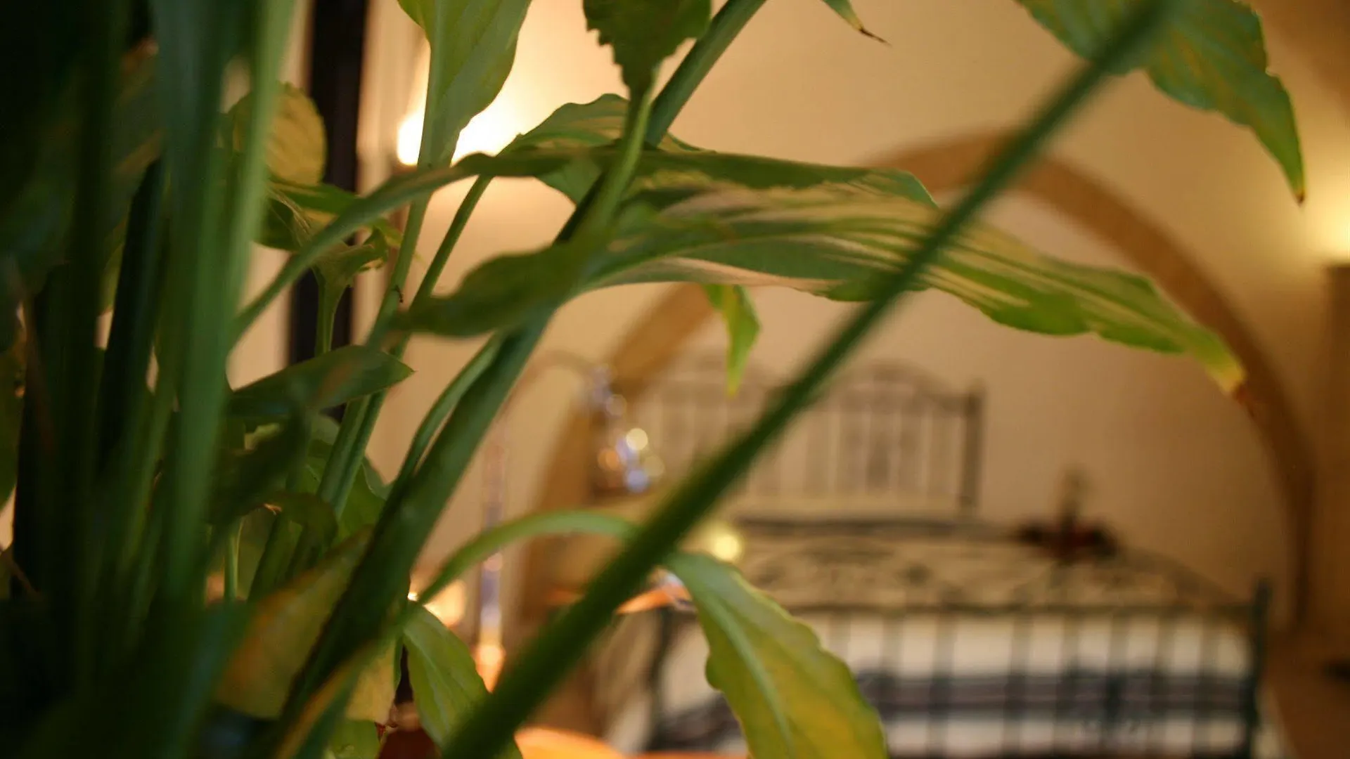 Antiche Volte B&B Lecce Itálie